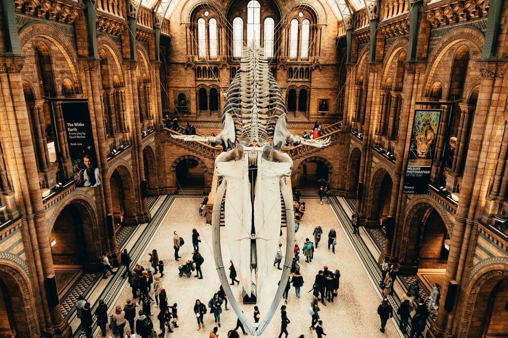 15 beste dingen om te doen in Barcelona (Spanje) 8 Barcelona historisch museum